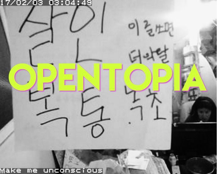 opentopia1-2