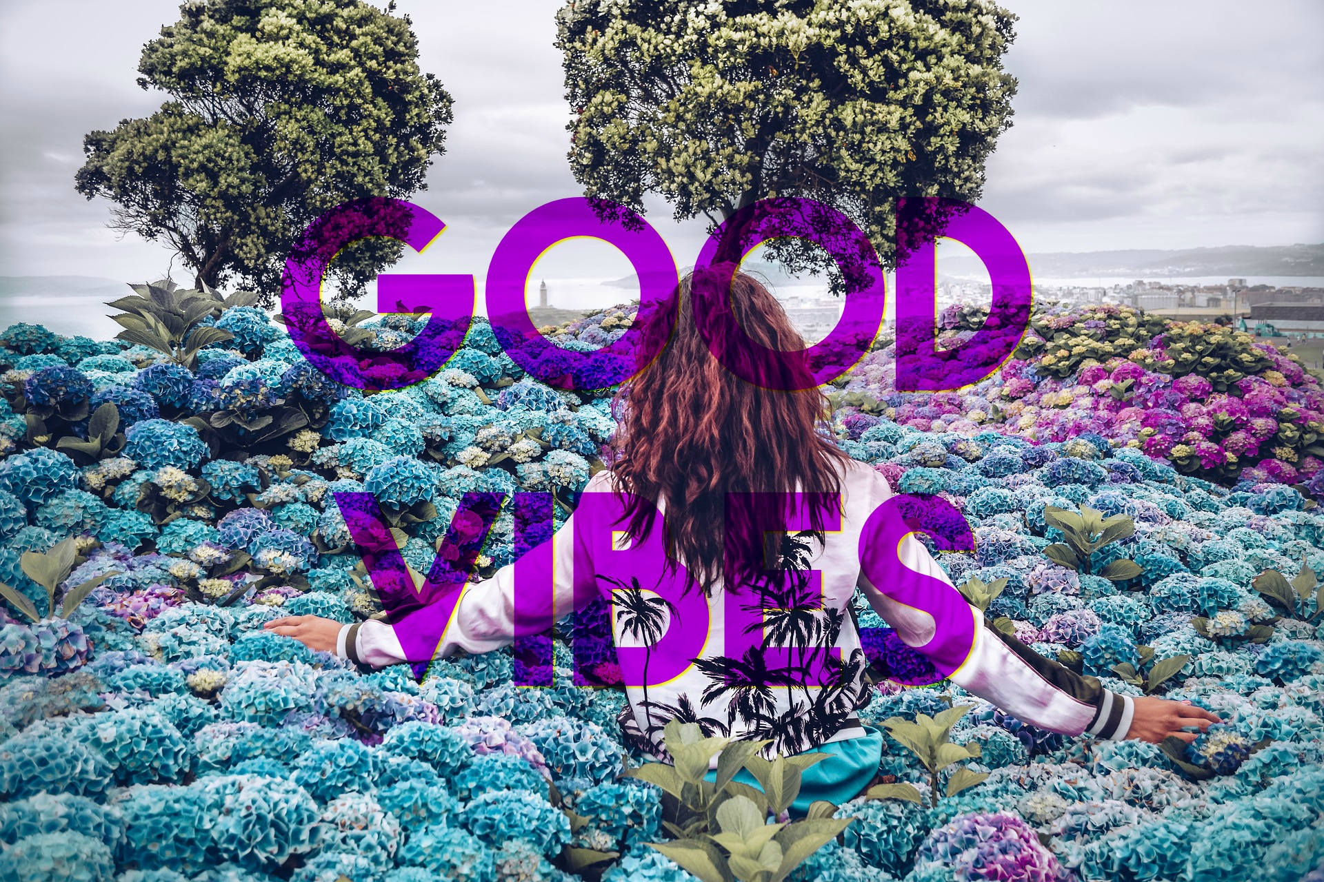 purposes-1963850_1920