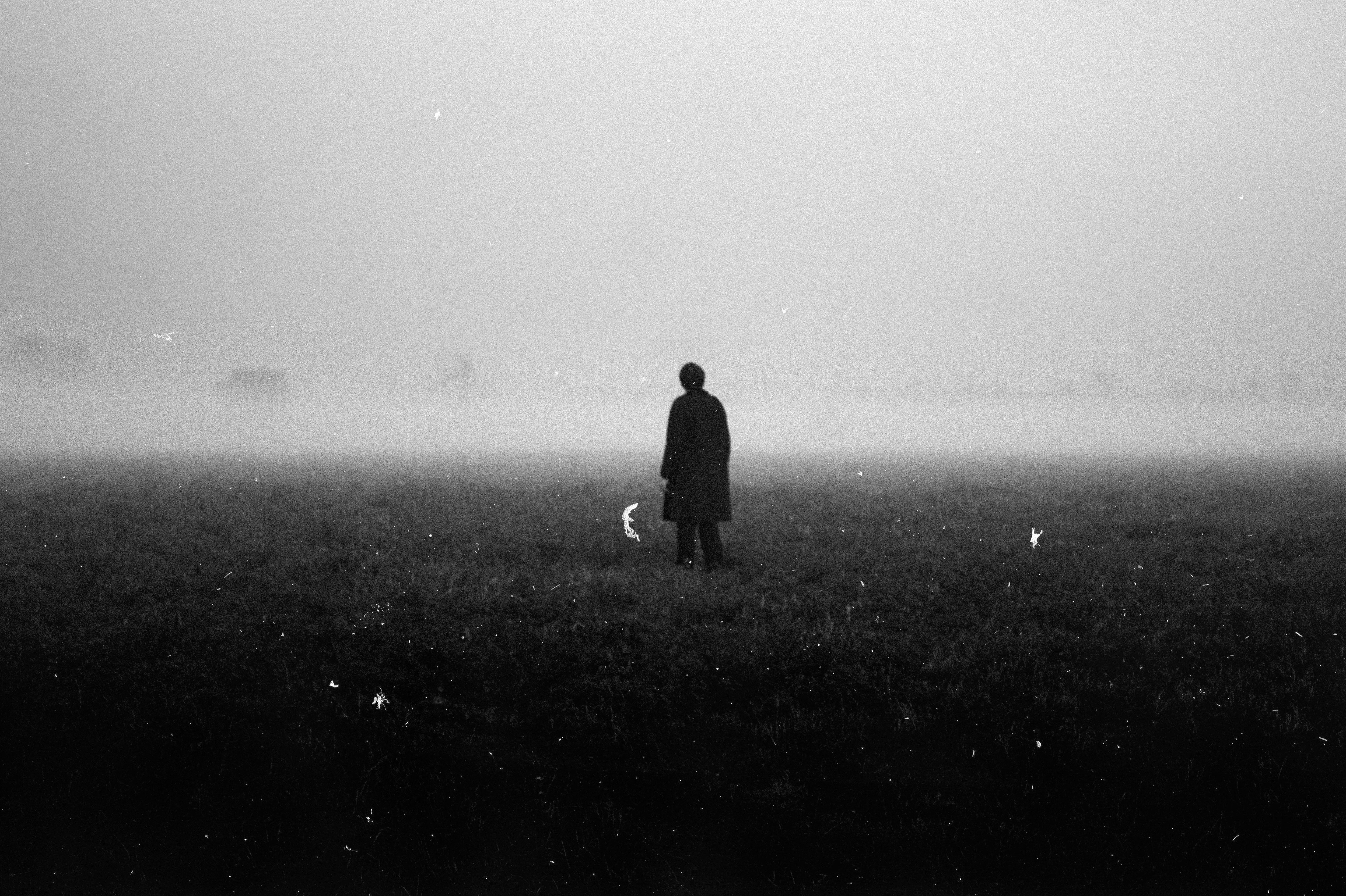 gabriel-714976-unsplash